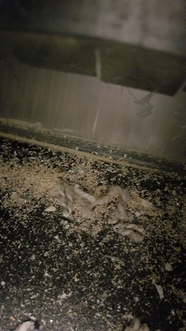 Picture of dirty heat register ducts in the new Keystone Montana RV.
