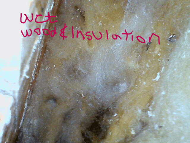 Fiber Optic Scope Picture of wet insulation under the floor in New Keystone Montana RV.